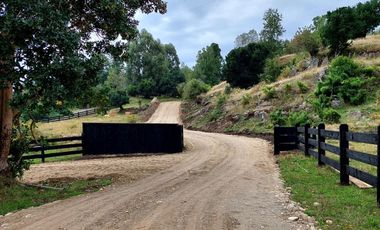 Parcelas con vista y acceso al Lago Ranco