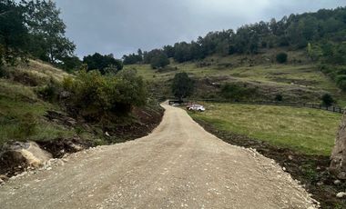 Parcelas con vista y acceso al Lago Ranco