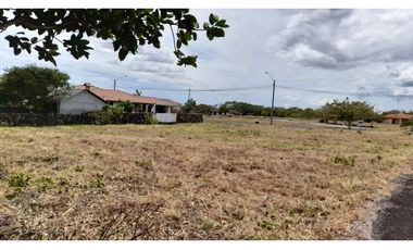 Se Vende Lote en Boquete, El Frances.