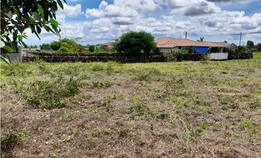 Se Vende Lote en Boquete, El Frances.