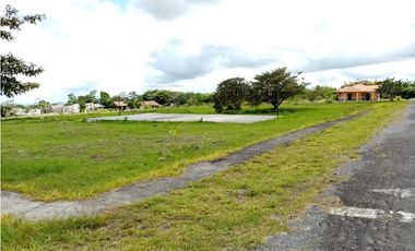 Se Vende Lote en Boquete, El Frances.