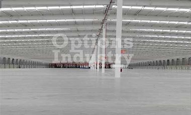 New warehouse for rent in Mexico