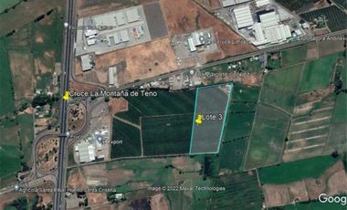 GRAN LOTEO AGROINDUSTRIAL EN LA COMUNA DE TENO