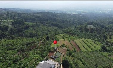 MP117 Dijual Tanah Untuk Resort / Villa || Cigombong Tugujaya bogor || View Pegunungan || LT 1,7 Ha || JBR