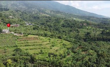 MP117 Dijual Tanah Untuk Resort / Villa || Cigombong Tugujaya bogor || View Pegunungan || LT 1,7 Ha || JBR