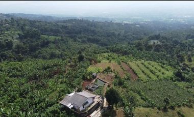 MP117 Dijual Tanah Untuk Resort / Villa || Cigombong Tugujaya bogor || View Pegunungan || LT 1,7 Ha || JBR