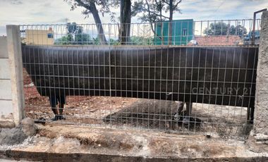 Tanah Di Daerah Cikeas Gunung Putri Jawa Barat