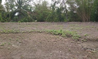 Tanah Kavling 1 Juta-an/m Cilame-Dekat Tol Padalarang