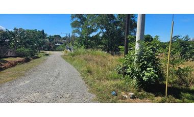 FINCA DE 10 HECTREAS DAVID