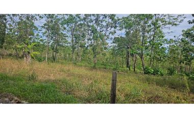 FINCA DE 10 HECTREAS DAVID