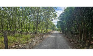 FINCA DE 10 HECTREAS DAVID