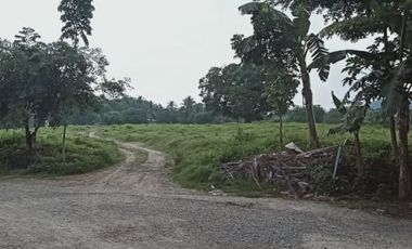 4.6 hectare land in Taysan Batangas ready for development