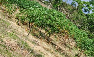 Finca en Venta Los Bajos de Montecristi