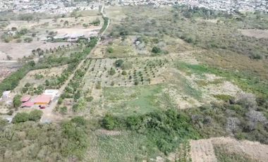 Finca en Venta Los Bajos de Montecristi