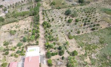Finca en Venta Los Bajos de Montecristi