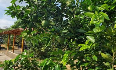 Finca en Venta Los Bajos de Montecristi