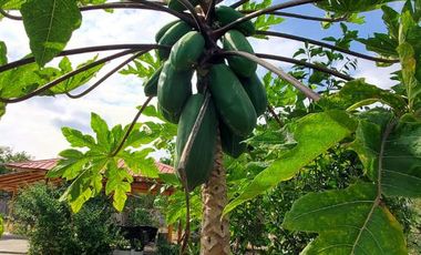 Finca en Venta Los Bajos de Montecristi