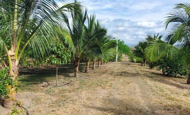Finca en Venta Los Bajos de Montecristi