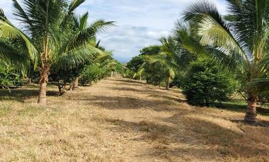 Finca en Venta Los Bajos de Montecristi