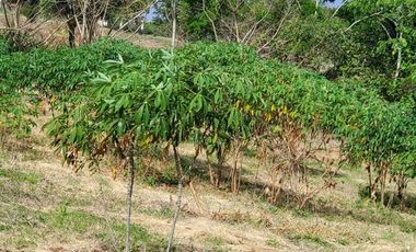 Finca en Venta Los Bajos de Montecristi