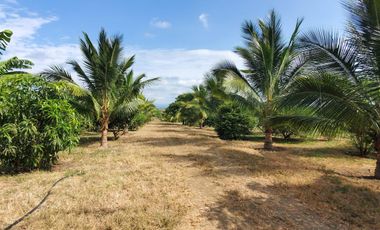 Finca en Venta Los Bajos de Montecristi