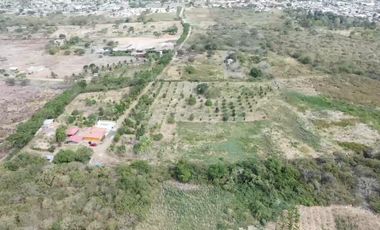 Finca en Venta Los Bajos de Montecristi