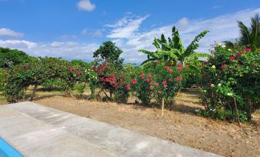 Finca en Venta Los Bajos de Montecristi