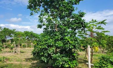 Finca en Venta Los Bajos de Montecristi