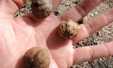 Finca en Venta Los Bajos de Montecristi