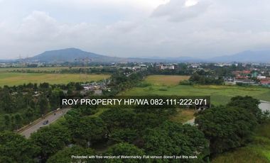 Dijual Tanah Bojonegara 7 Ha Dekat STADION SERUNI CILEGON