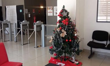 Departamento Ecuador ID: 145401r