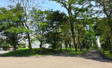 alam kawasan Danau cluster Elite di *VIRGINIA LAGOON / TELAGA GOLF BSD*