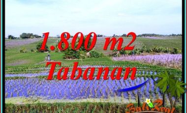 Exotic yet affordable 18 Are in KERAMBITAN TABANAN