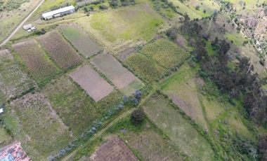 Finca - Norte de Paute