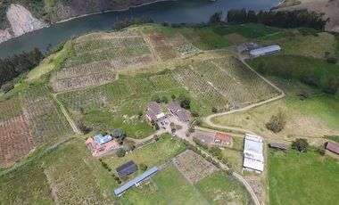 Finca - Norte de Paute
