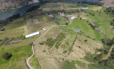 Finca - Norte de Paute