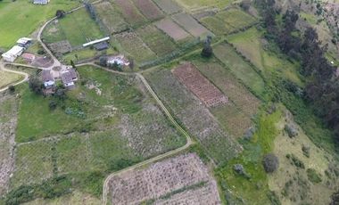 Finca - Norte de Paute