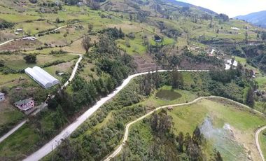 Finca - Norte de Paute