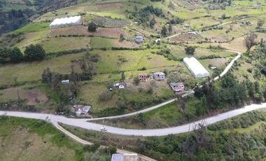 Finca - Norte de Paute