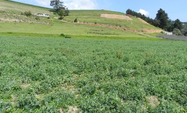Terreno escriturado a unas cuadras del centro de Tenango