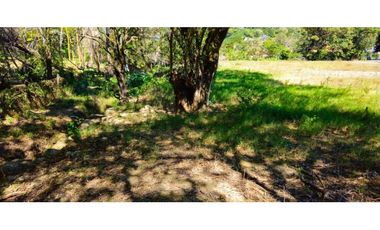 LOTE DE 6696.32 METROS EN BOQUETE COMERCIAL
