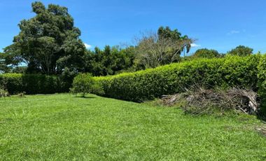 lote en venta en cerritos. Cod V18992