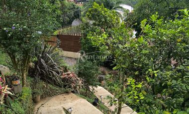 casa en arriendo en loma del chocho. Cod A776536