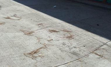 Renta de Local en Santa María Rayón sobre carretera Tenango - Toluca