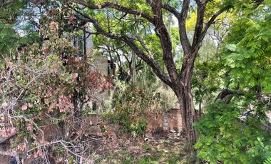 Local comercial en plaza nueva ideal para Restaurante !!!