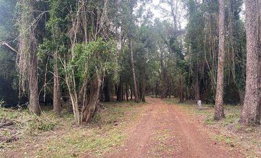 Sitio en venta en Lago Ranco