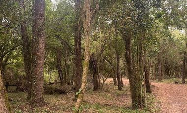 Sitio en venta en Lago Ranco