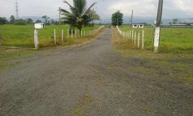 Vendo 290 hectáreas Vía Santo Domingo Quevedo