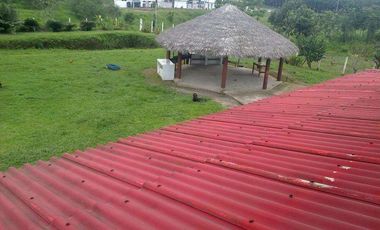 Vendo 290 hectáreas Vía Santo Domingo Quevedo