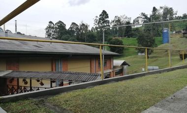 bodega en venta en primavera. Cod V2149